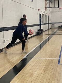 Adult Coed Volleyball League